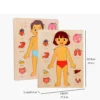 Montessori Anatomy Organ Model Anatomy Puzzle Of Human Structure